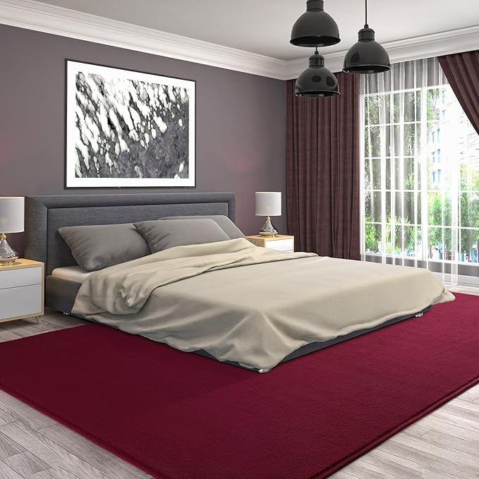 AROGAN Modern Shag Area Rug for Living Room, 5x7 Feet Washable Indoor Floor - Image 9
