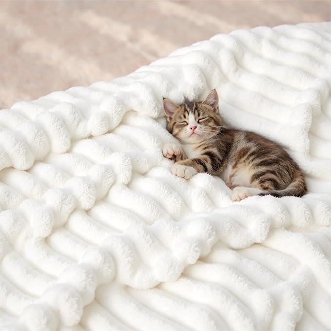 Bedsure GentleSoft Twin Blanket - Image 8