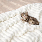 Bedsure GentleSoft Blankets Queen Size - Image 8