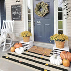 Black and White Striped Entry Rug - Image 3