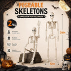 2 Pack 36" Halloween Skeleton, 3 ft Human Skeleton Full Body Posable Joints Plastic Skeleton for Halloween Decoration, Yard Patio Lawn Garden Skeleton Spooky Party Decoration Indoor Outdoor