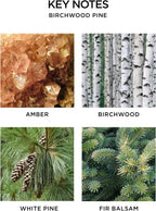 NEST New York Scented 3-Wick Christmas Tree Candle, Birchwood Pine