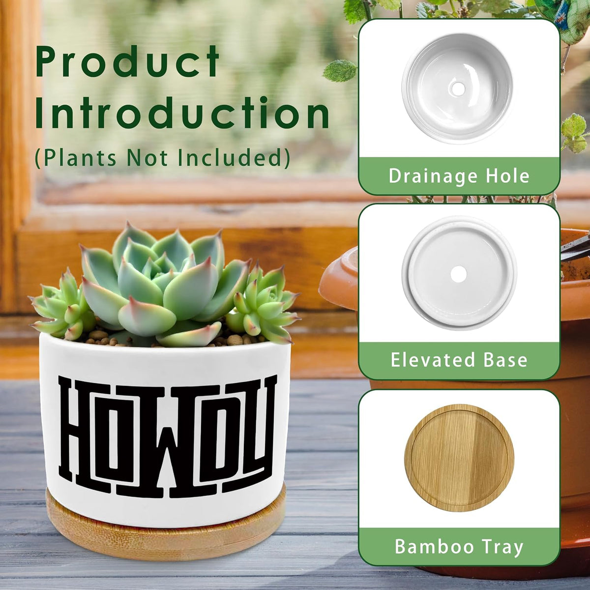 Howdy Western Plant Pots Succulent Planters