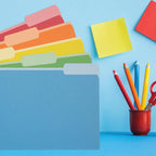 Blue Summit Supplies 100 File Folders, Letter Size, 1/3 Cut, Assorted