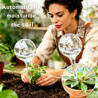 Self Watering Globes for Plants, 12cs Large Plant Automatic Watering Bulbs