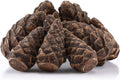 10 Pcs Gas Logs Ceramic Pine Cones, Imitated Fire Pit Pine Cones Gas Logs Decorative Fireproof Bonfire Accessories Christmas Decor for Propane Campfire Fireplace Wood Fires
