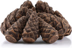 10 Pcs Gas Logs Ceramic Pine Cones, Imitated Fire Pit Pine Cones Gas Logs Decorative Fireproof Bonfire Accessories Christmas Decor for Propane Campfire Fireplace Wood Fires