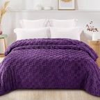 Exclusivo Mezcla Queen Size Flannel Fleece Blanket, Super Soft and Warm - Image 3
