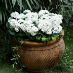 2 Pcs Artificial Flowers Outdoor Potted Large, White Geranium
