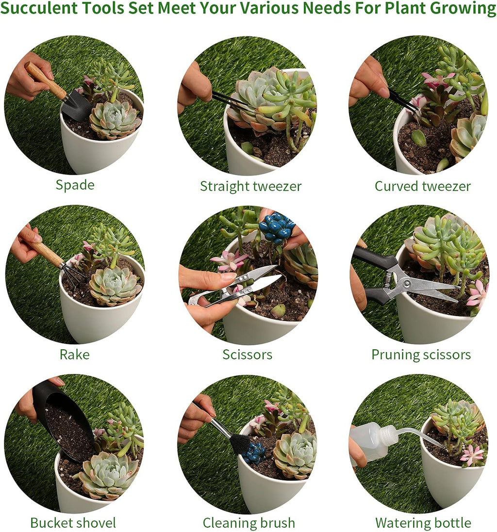 11Pcs Succulent Tools, Mini Garden Tools, Plant Repotting Set(No Flowerpot)