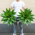Ttranewsoo 28 Inch Artificial Agave Plants Outdoor Set of 2, Large Faux Succulent Plants for Indoor Home Decor, Realistic Fake Agave Greenery for Patio Porch Garden, UV Resistant Plants Without Pot