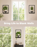 Bamworld Hanging Planters for Indoor Plants Wall Decor Living Room