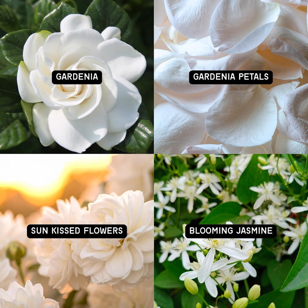 DW Home Fresh Cut Gardenia Scented Candle, 9 oz, Hand-Poured Single Wick Jar, Up to 33-Hour Burn Time, Gardenia and Jasmine Floral Fragrance for Relaxation and Gifting