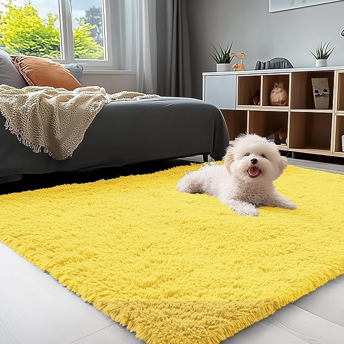 OLANLY 3x5 Machine Washable Small Bedside Rug, Soft Fluffy Shaggy Rugs by OLANLY