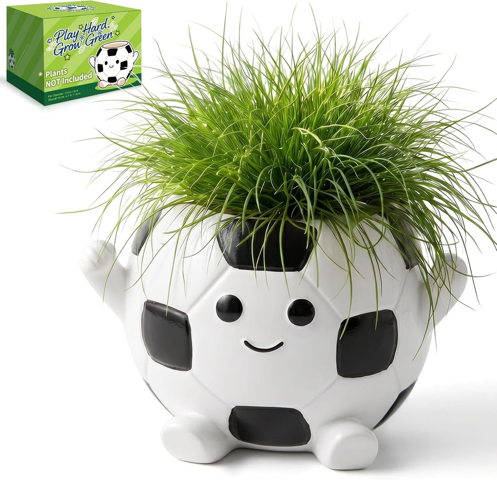 Soccer Face Plant Pots, 4 Inches Resin Planters, Cute Succulent Pot