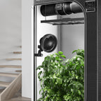AC Infinity CLOUDRAY S6 Grow Tent Oscillating Clip Fan 6”