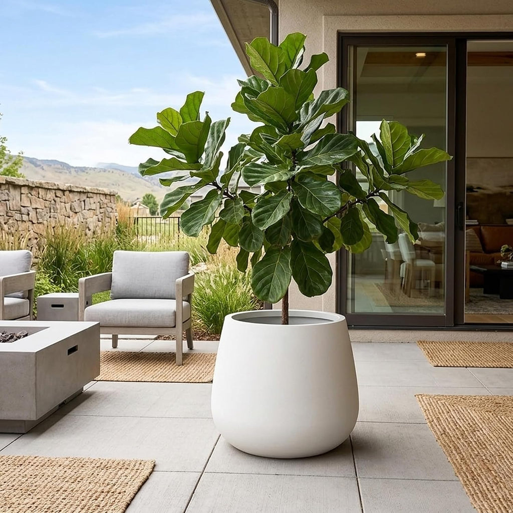 Kante Modern Home Minimalist 18.1" Dia Snow White Concrete Curved Planter