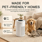 AZEUS HEPA Air Purifier 2-Pack, Quiet Operation for Bedrooms and Offices