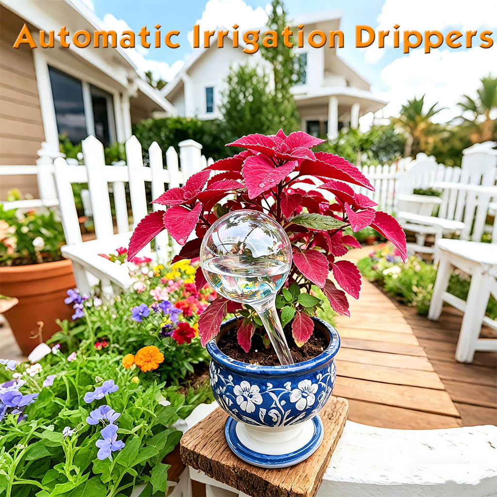 Self Watering Globes for Plants, 12cs Large Plant Automatic Watering Bulbs