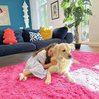 OLANLY 2x4 Machine Washable Runner Rugs - Image 3