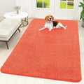 OLANLY Dog Door Mat for Muddy Paws 70x46, Absorbs Moisture and Dirt, Absorbent by OLANLY