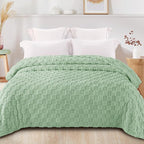 Exclusivo Mezcla Queen Size Flannel Fleece Blanket, Super Soft and Warm - Image 3