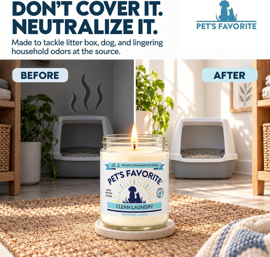 Clean Laundry Pet Odor Eliminator Candle Pet Friendly, 1 Pack