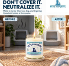 Clean Laundry Pet Odor Eliminator Candle Pet Friendly, 1 Pack