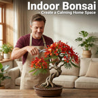 Bonsai Tree Starter Kit for Beginners 5 Unique Indoor Plants