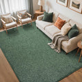 FinRèc 5x7 Washable Area Rugs for Bedroom Living Room, Low Pile Thin Rug Solid by FinRe%CC%80cHome