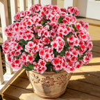 Artificial Fall Flowers for Outdoors, 6PCS Silk Geraniums, Sunset