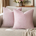 GIGIZAZA Decorative Couch Throw Pillow Cover, Square Sofa Velvet Throw Cushions by GIGIZAZAFocusingonhomedecoration