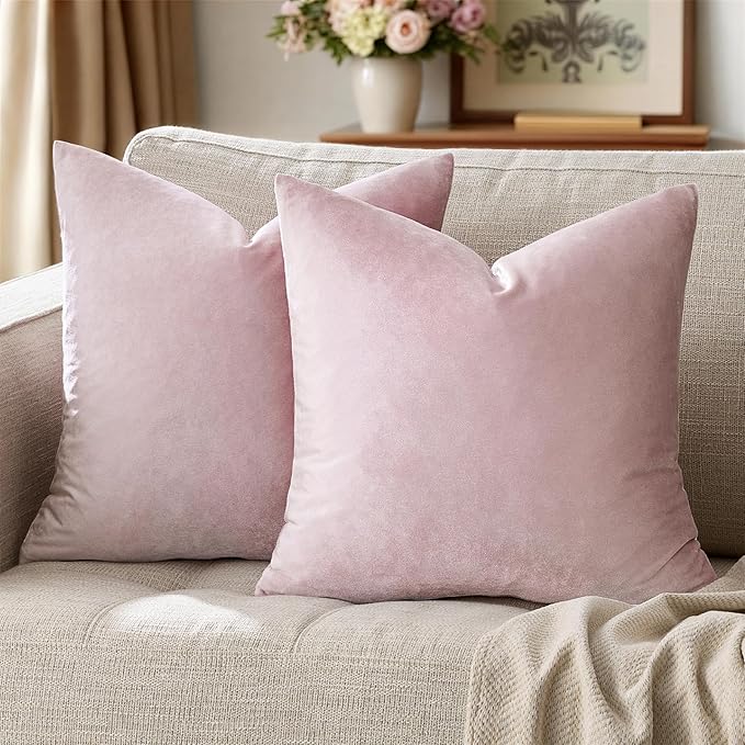 GIGIZAZA Decorative Couch Throw Pillow Cover, Square Sofa Velvet Throw Cushions by GIGIZAZAFocusingonhomedecoration