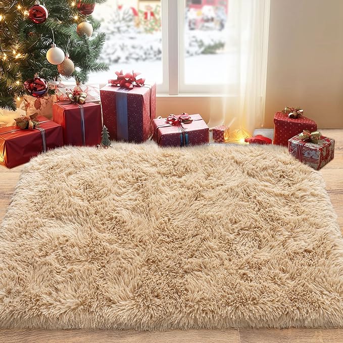 Pionblank Fluffy Small Rug for Bedroom 2x3 Feet, Shag Soft Area Rug, Modern by PIONBLANK