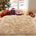 Pionblank Fluffy Small Rug for Bedroom 2x3 Feet, Shag Soft Area Rug, Modern by PIONBLANK