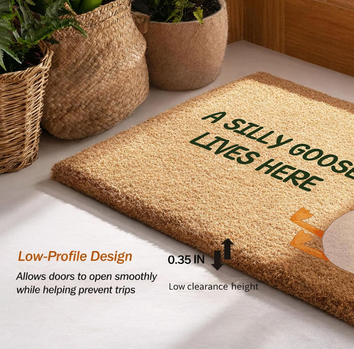 A Silly Goose Lives Here Door Mat