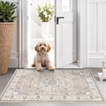 Washable 2x3 Entryway Area Rug by HYHAOYUNLAI
