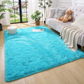 Amearea Premium Soft Area Rug 4x5.3 Feet, Fluffy Carpet by AmeareaDirect