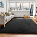 ONASAR Black Area Rugs for Bedroom Living Room, Fluffy Fuzzy Shaggy 4x6 Bedside by ONASAR