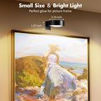 Picture Lights for Wall, Wireless Poster Lights Battery Operated, Black