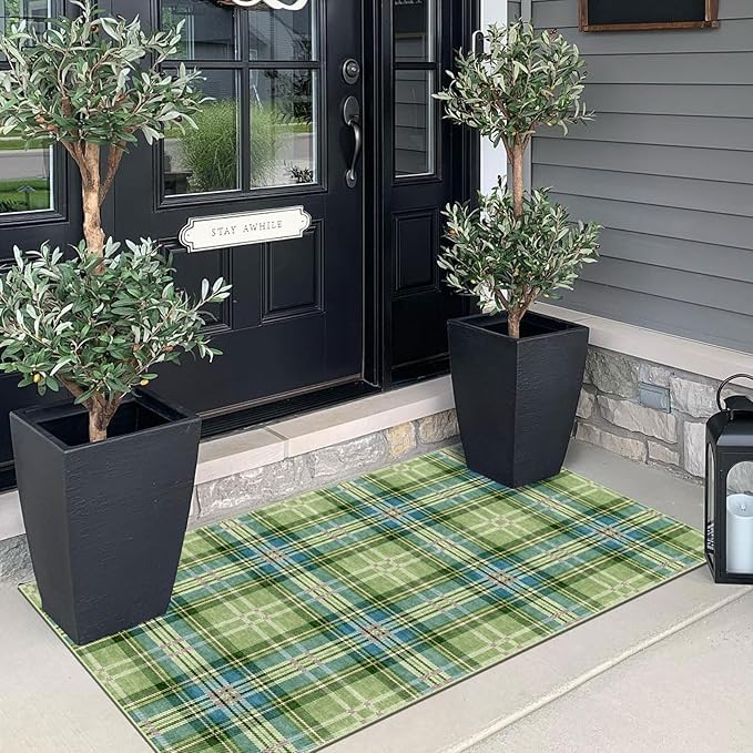 Front Door Mat Indoor Entrance - Image 3