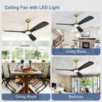Modern Ceiling Fan with Light: Black and Gold Ceiling Fans with Remote and Smart APP Control 3 Blades - 52 Inch Ceiling Fan for Indoor Living Room Bedroom