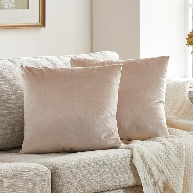 GIGIZAZA 22x22 Beige Pillow Covers: Pack of 2 Champagne Vintage Throw Pillows - Image 9