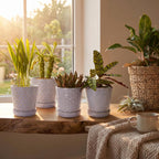 Ceramic Plant Pots, 5 Inch Planters with Drainage Holes and Ceramic Tray, Relief Design Flower Planter, Desktop Office Windowsill Decoration Gift Set of 4 - Lavender