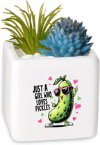 Bee Succulent Planter Flower Plant Pot Small, Gifts for Women Teens Girls Kids, Bee Lovers Themed Stuff Accessories Things Decor Merch, Home Office Table Desk Decoration!