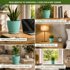 Plant Pots Indoor with Drainage, 5 Pack Multi-Size Planters Set, Aqua