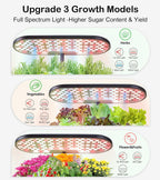 16 Pods Hydroponic Growing System, Indoor Garden with 24W Full-Spectrum LED, Smart Quiet Auto-Watering Herb Planter, Classic Red-Black Gift Design for Home, Office & Holiday