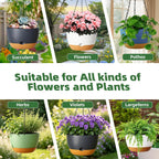 Hanging Planters, 4 Pack, Self-Watering, 7.5 Inch, Blue