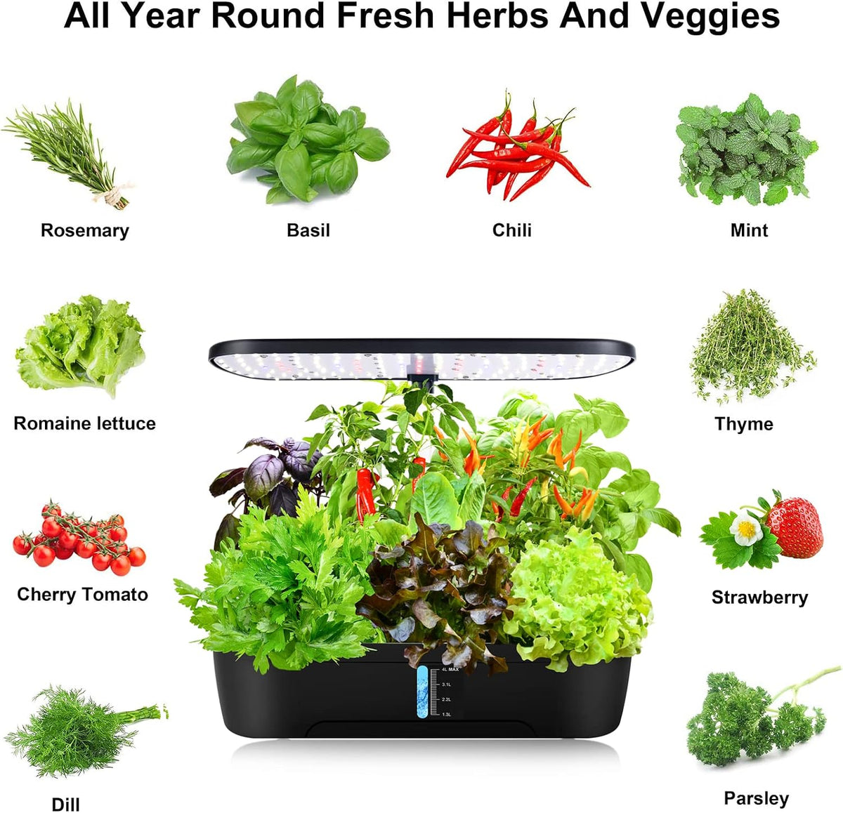 Hydroponics Growing System Kit 12 Pods Indoor Herb Garden with Grow Light