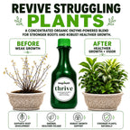 Thrive Root & Bloom Plant Food, Enzyme Blend, 8.45 oz